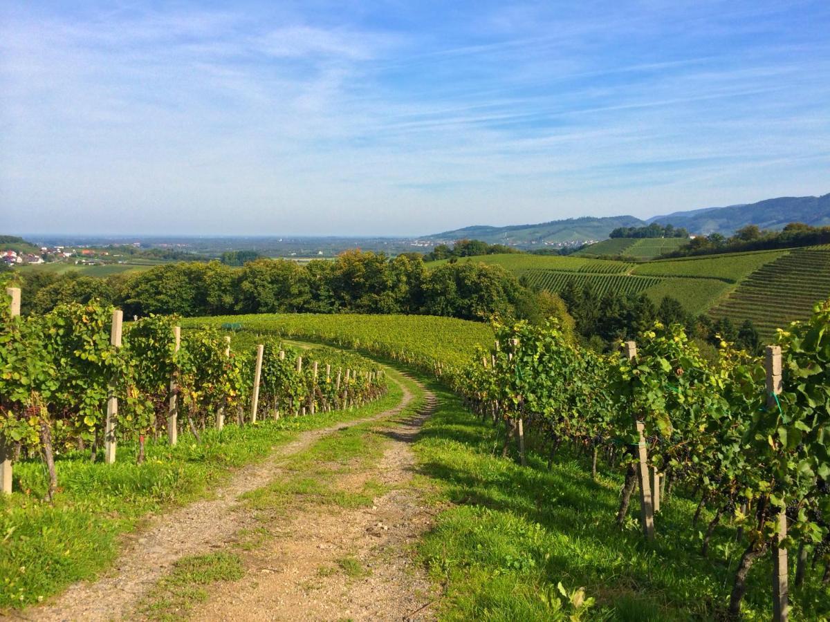 오버키르히 Winzerhof Maennle 아파트 외부 사진