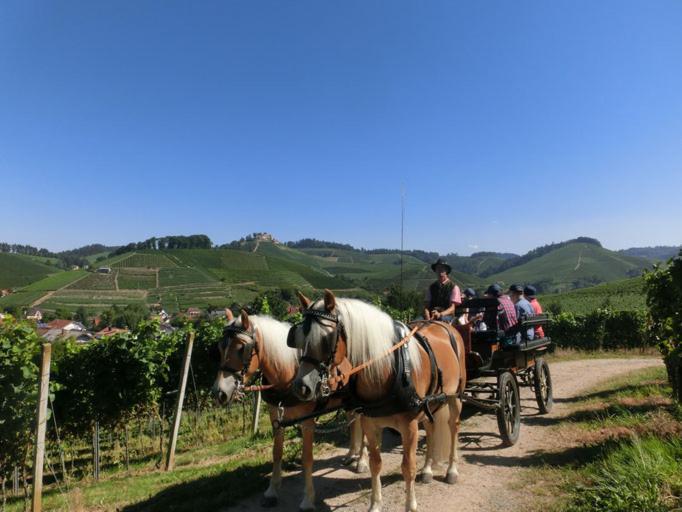 오버키르히 Winzerhof Maennle 아파트 외부 사진