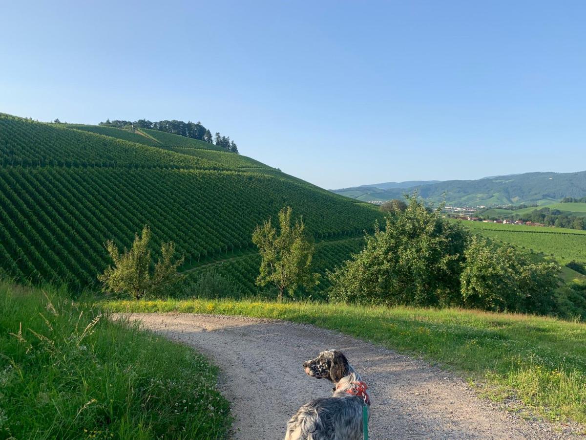 오버키르히 Winzerhof Maennle 아파트 외부 사진