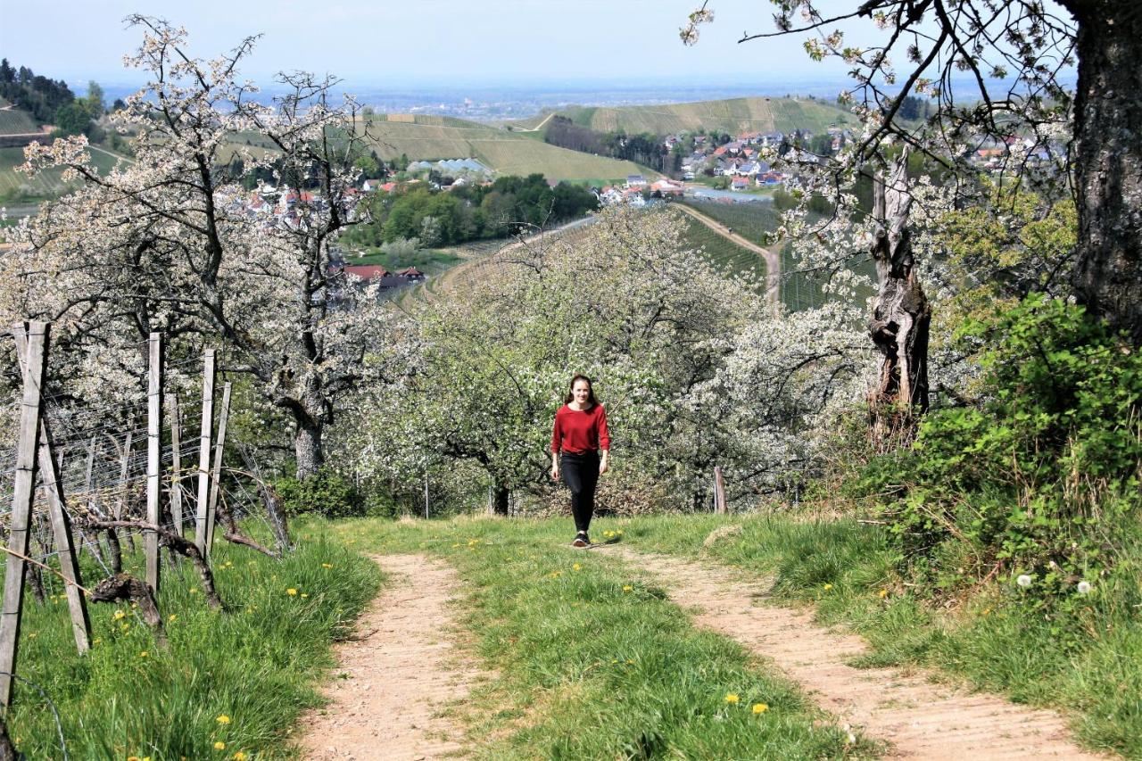 오버키르히 Winzerhof Maennle 아파트 외부 사진
